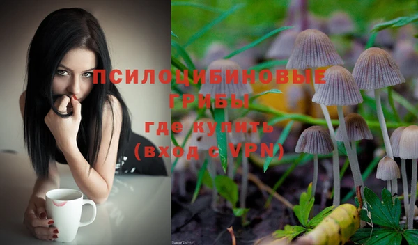 PSILOCYBIN Магас