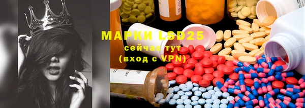 PSILOCYBIN Магас