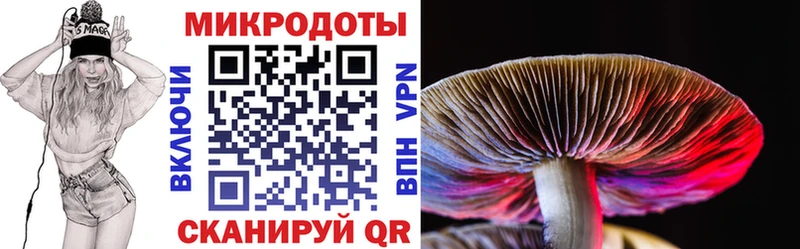 Галлюциногенные грибы Psilocybine cubensis  Оса 