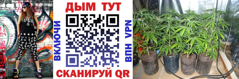 площадка формула Оса МАРИХУАНА SATIVA & INDICA